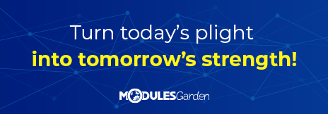 Promotion on Custom Software Development Projects at ModulesGarden